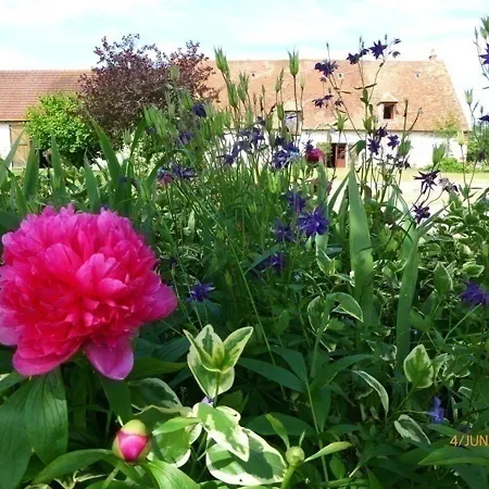 Grand Gite De Charme Avec Cheminee Pres De Montlucon, Jardin, Jeux Enfants, Animaux Acceptes - Fr-1-489-144